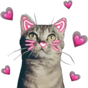 Cute Cats 2 8