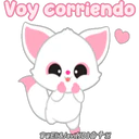 Animals YooHoo🐰🦝🇵🇪 3