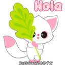 Animals YooHoo🐰🦝🇵🇪 7