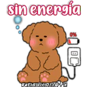 Caniche Dog🐕🇵🇪 6
