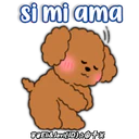 Caniche Dog🐕🇵🇪 14