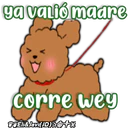 Caniche Dog🐕🇵🇪 22