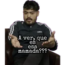 Coqueta & Audaz Patrocinanos 22