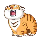 Grumpy🐯Tygger 1