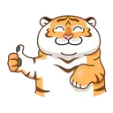 Grumpy🐯Tygger 9
