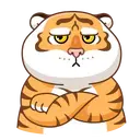 Grumpy🐯Tygger 16