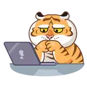 Grumpy🐯Tygger 12