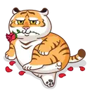 Grumpy🐯Tygger 22
