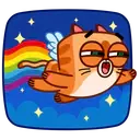 Kitty🐱cupido 8