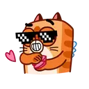 Kitty🐱cupido 2