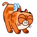 Kitty🐱cupido 3