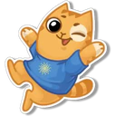 Orange Cat 🐱 2 20