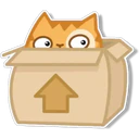 Orange Cat 🐱 2 28