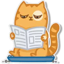 Orange Cat 🐱 2 26