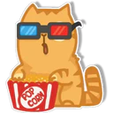 Orange Cat 🐱 2 8