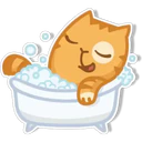 Orange Cat 🐱 2 18