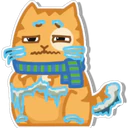 Orange Cat 🐱 2 12