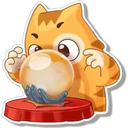 Orange Cat 🐱 2 21