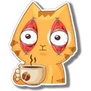 Orange Cat 🐱 2 16