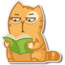 Orange Cat 🐱 2 19