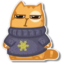 Orange Cat 🐱 2 4