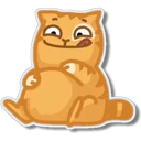 Orange Cat 🐱 2 10