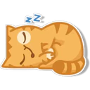 Orange Cat 🐱 2 5
