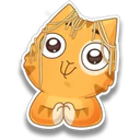 Orange Cat 🐱 3 9