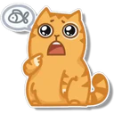 Orange Cat 🐱 3 16