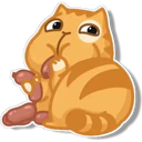 Orange Cat 🐱 3 3