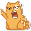 Orange Cat 🐱 3 24