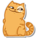 Orange Cat 🐱 3 29