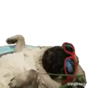 Pug🐶🌼.MOV 9