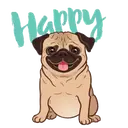 Pug🐶🌼.MOV 7