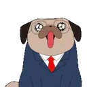 Pug🐶🌼.MOV 15