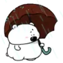 TIERNO POLAR 3 29