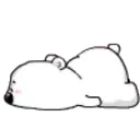 TIERNO POLAR 3 4