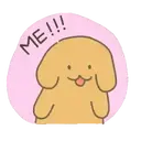 Dog Cokkie   Mov 3