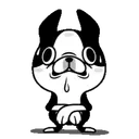 Boston Terrier Black mov. 18