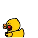 DUCKS  .ɱσʋ 11