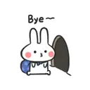️Crazy mini rabbit   MOV 11