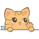 Lovely Red Tabbi Cat 2 4