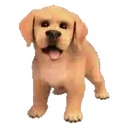 Perros Hermosos 3