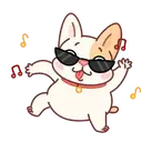 puppy  dog 24