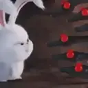 Snowball reacciones 3   MOV 20