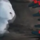 Snowball reacciones   MOV 6