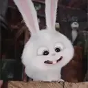 Snowball reacciones   MOV 13
