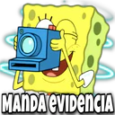 MANDA EVIDENCIA