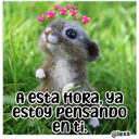 Cariñoso mensajito  ️ 10