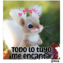 Cariñoso mensajito  ️ 6